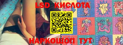 амф Обь