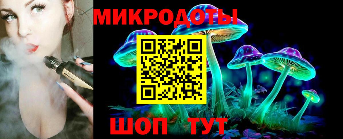 Псилоцибиновые грибы Cubensis Санкт-Петербург