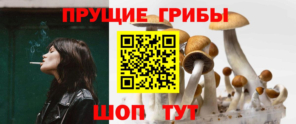 Псилоцибиновые грибы ЛСД  Псилоцибиновые грибы MAGIC MUSHROOMS  Вход с VPN  Санкт-Петербург 